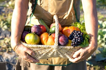 une personne porte une corbeille de fruits